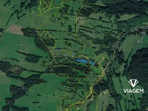 Prodej podílu lesa, Heřmanov, 7032 m2