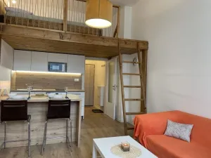 Pronájem bytu 1+kk, Ostrava - Přívoz, Palackého, 27 m2
