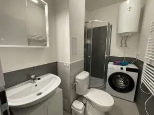 Pronájem bytu 1+kk, Ostrava - Přívoz, Palackého, 27 m2