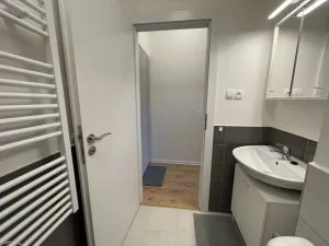 Pronájem bytu 1+kk, Ostrava - Přívoz, Palackého, 27 m2