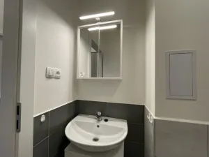 Pronájem bytu 1+kk, Ostrava - Přívoz, Palackého, 27 m2