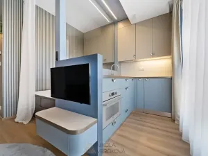 Pronájem bytu 1+kk, Brno, Rybářská, 27 m2