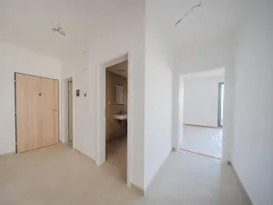 Prodej bytu 2+kk, Plzeň, Borská, 64 m2