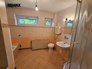 Prodej rodinného domu, Písařov, 100 m2