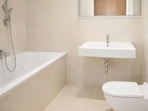 Prodej bytu 2+kk, Praha - Žižkov, Malešická, 58 m2