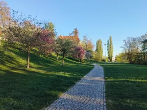 Pronájem bytu 3+kk, Plzeň, U Ježíška, 70 m2