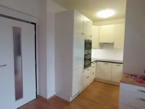 Pronájem bytu 3+kk, České Budějovice - České Budějovice 3, Riegrova, 70 m2