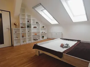 Pronájem bytu 3+kk, České Budějovice - České Budějovice 3, Riegrova, 70 m2