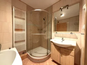 Pronájem bytu 3+kk, Plzeň - Jižní Předměstí, Vrchlického, 74 m2