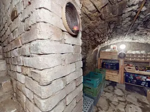 Prodej chalupy, Výprachtice, 150 m2