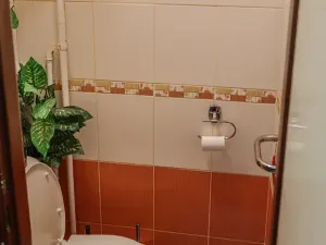 Prodej bytu 3+1, Veselí nad Moravou, Zemědělská, 61 m2
