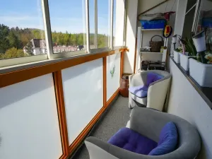 Prodej bytu 4+1, Rumburk - Rumburk 1, Karoliny Světlé, 100 m2
