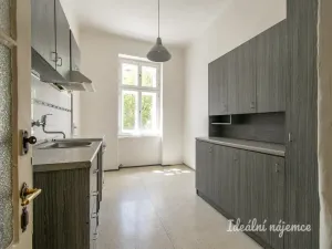 Pronájem bytu 3+1, Praha - Karlín, Vítkova, 94 m2