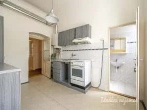 Pronájem bytu 3+1, Praha - Karlín, Vítkova, 94 m2