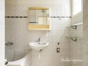 Pronájem bytu 3+1, Praha - Karlín, Vítkova, 94 m2