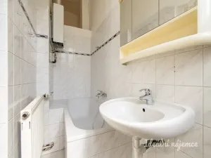 Pronájem bytu 3+1, Praha - Karlín, Vítkova, 94 m2