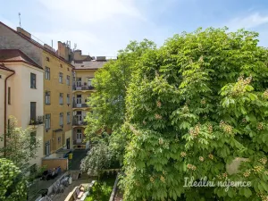 Pronájem bytu 3+1, Praha - Karlín, Vítkova, 94 m2