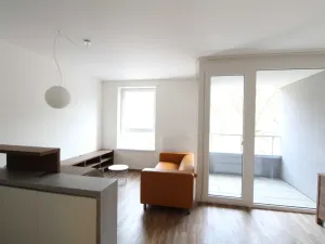 Pronájem bytu 1+kk, Praha - Vysočany, Za Krejcárkem, 36 m2