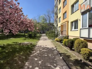Prodej bytu 2+1, Chomutov, Kostnická, 56 m2