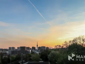 Prodej bytu 1+kk, Praha - Žižkov, Olgy Havlové, 37 m2