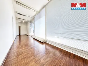 Prodej obchodního prostoru, Písek - Pražské Předměstí, Čechova, 53 m2