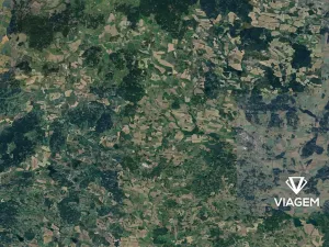 Prodej podílu lesa, Hradiště, 2591 m2