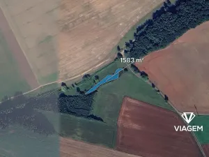 Prodej lesa, Moravská Třebová, 1583 m2
