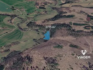 Prodej lesa, Vlašim, 3715 m2