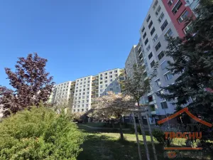 Prodej bytu 2+kk, Hradec Králové, třída Edvarda Beneše, 49 m2