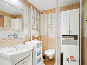 Prodej atypického bytu, Jihlava, Březinovy sady, 48 m2