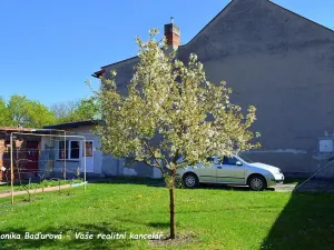 Prodej rodinného domu, Kurovice, 140 m2