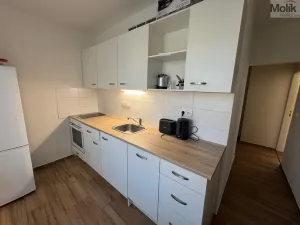 Pronájem bytu 2+1, Most, Jaroslava Vrchlického, 54 m2