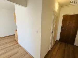 Pronájem bytu 2+kk, Most, Jaroslava Ježka, 40 m2