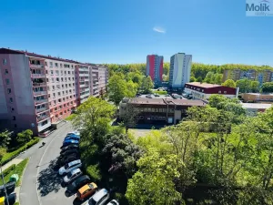 Pronájem bytu 2+kk, Most, Jaroslava Ježka, 40 m2