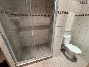 Pronájem bytu 1+1, Most, Žatecká, 37 m2