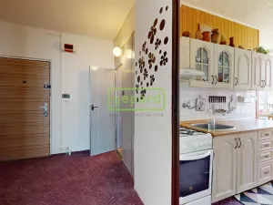 Prodej bytu 2+1, Děčín, U Tvrze, 50 m2