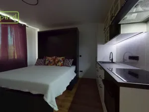 Prodej bytu 1+kk, Ústí nad Labem - Střekov, Tolstého, 20 m2