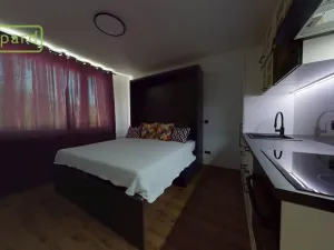 Prodej bytu 1+kk, Ústí nad Labem - Střekov, Tolstého, 20 m2