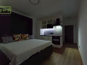 Prodej bytu 1+kk, Ústí nad Labem - Střekov, Tolstého, 20 m2