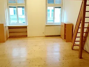 Pronájem bytu 1+1, Praha - Vinohrady, Řipská, 46 m2