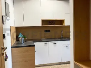 Pronájem bytu 2+kk, Brno, Kamenná, 54 m2