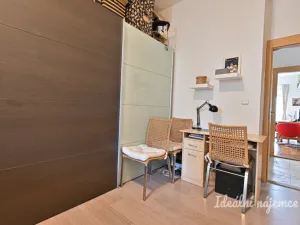 Pronájem bytu 2+kk, Brno, Příkop, 44 m2