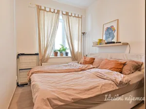 Pronájem bytu 2+kk, Brno, Příkop, 44 m2