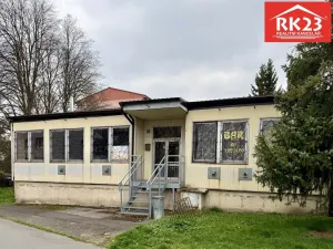 Prodej obchodního prostoru, Planá, Fučíkova, 200 m2