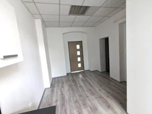 Pronájem bytu 2+kk, Ústí nad Labem - Ústí nad Labem-centrum, Moskevská, 46 m2