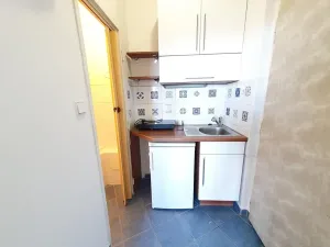 Pronájem bytu 1+kk, Praha - Nusle, 5. května, 30 m2