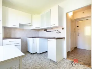 Prodej bytu 1+1, Kladno - Kročehlavy, U výtopny, 28 m2
