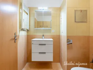 Pronájem bytu 1+kk, Praha, Trmická, 36 m2