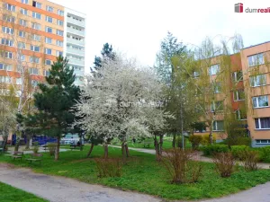 Pronájem bytu 4+kk, Praha - Chodov, Vejvanovského, 84 m2