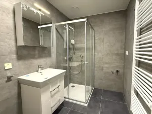 Pronájem bytu 2+1, Praha - Libeň, Zenklova, 70 m2